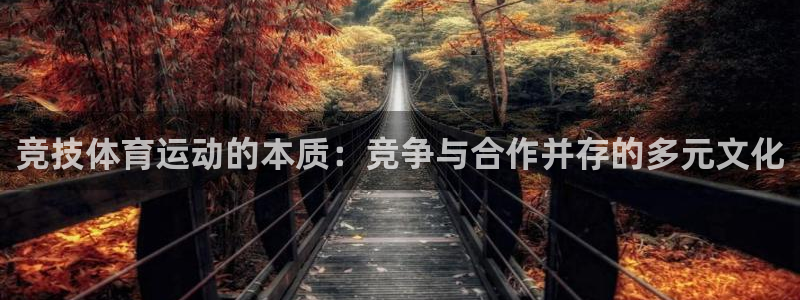 必一运动bsport体育
