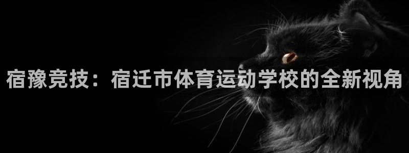 bsports官网 必一运动：宿豫竞技：宿迁市体育运动学校的全新视角