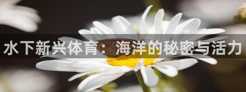 必一运动bsport体育：水下新兴体育：海洋的秘密与活力
