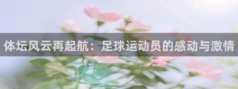 必一运动bsport体育：体坛风云再起航：足球运动员的感动与激情