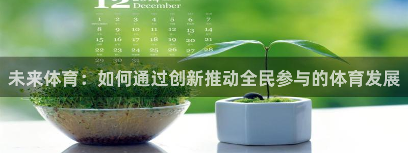 必一运动官网：未来体育：如何通过创新推动全民参与的体育发展