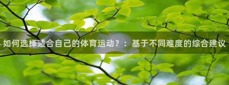 必一运动官网入口