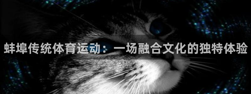必一运动体育官网