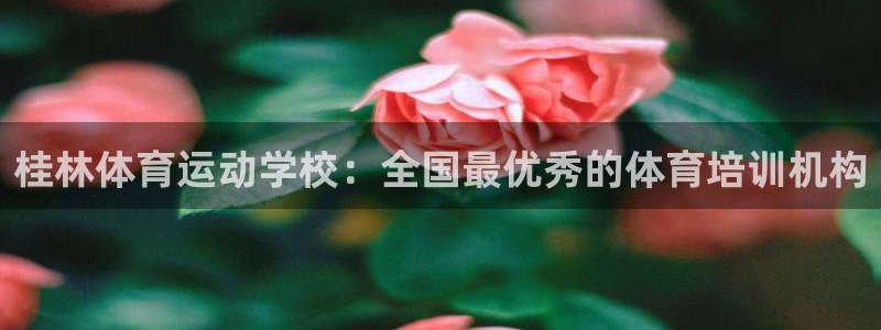 必一运动官网入口