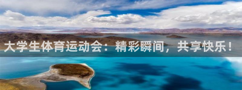 必一运动体育官网