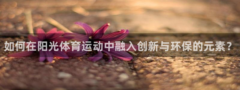 必一运动体育官网入口