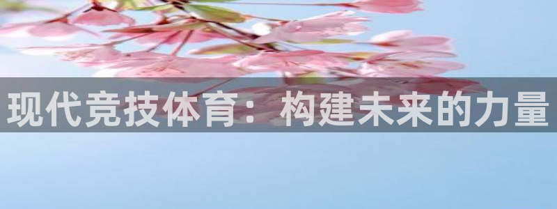 bsport必一运动