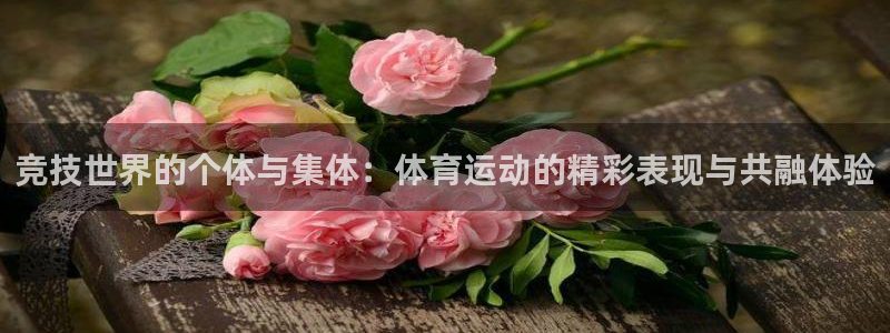 必一运动：竞技世界的个体与集体：体育运动的精彩表现与共融体验