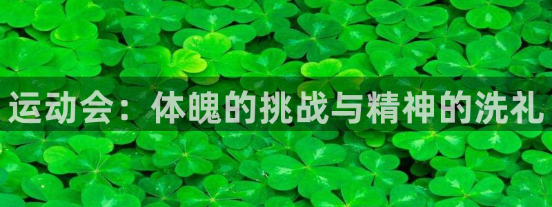 必一运动app