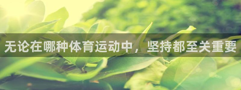 bsports必一运动