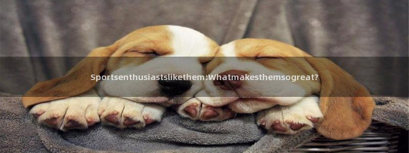 必一运动bsport体育：Sportsenthusiastslikethem:Whatmakesthemsogreat?