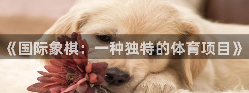 必一运动体育：《国际象棋：一种独特的体育项目》